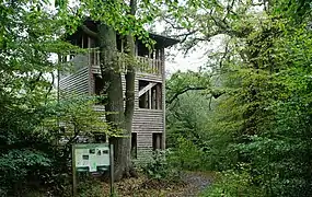 Der Aussichtsturm im Hasbruch