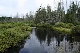 Die Headwater Wilderness