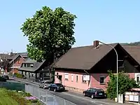 Die alte Kastanie – Naturdenkmal und Wahrzeichen von Hesseldorf