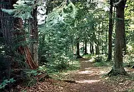 Der Hidden Lakes Trail