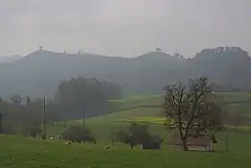 Drumlinlandschaft in Hirzel