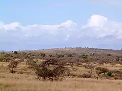 Hluhluwe-Umfolozi-Park