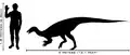 Größenvergleich von Thescelosaurus und Mensch