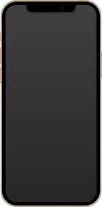 iPhone 12 Pro in Gold