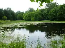 Der Isernhagen See in Calvörde