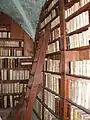 Regale der Bibliothek