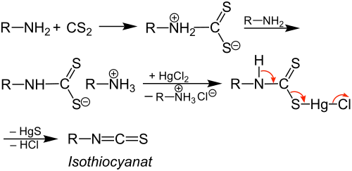 Hofmannsche Senfölreaktion