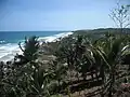 Praia de Itacarezinho