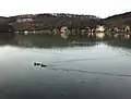 Blick auf das Nordufer mit Steinbruch im Hintergrund