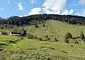 Blick auf Jackelberg Südseite mit Alm