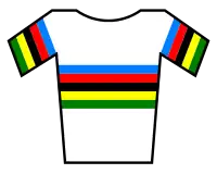 Weltmeistertrikot