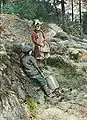 Kurtis i skogsbacken