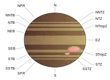 Eine idealisierte Darstellung der Gürtel und Zonen des Jupiters.