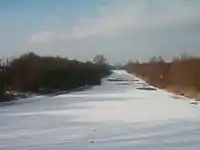 Kalflack im Winter