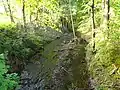 Der Kappelbach im Harz vor Neustadt