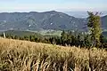 Blick vom Katharinenschlag (1222&nbsp;m&nbsp;ü.&nbsp;A.) nach Osten zur Hohen Wand