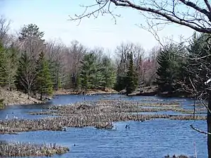 Im Kawartha Highlands Provincial Park