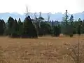 Kirchseefilzen im NSG Ellbach- und Kirchseemoor