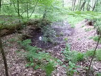 Die Klare Grete