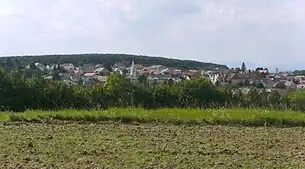 Blick auf Klingenbach von Osten