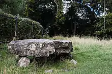 Steinkiste von Knockmaree