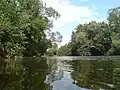 Der vom Oedheimer Wehr gestaute Fluss