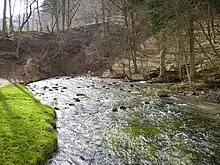 Ursprung des Schwarzen Kochers