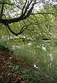 Kanal an der Clarenbachstraße