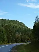 Arneberget