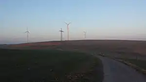Kuppensteiner Wild