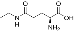 Struktur von Theanin