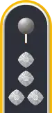 Dienstgradabzeichen auf der Schulterklappe der Jacke des Dienstanzuges für Luftwaffenuniformträger.
