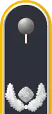 Dienstgradabzeichen auf der Schulterklappe der Jacke des Dienstanzuges für Luftwaffenuniformträger.