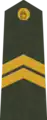 Lettland&nbsp;LettlandKaprālis, OR-4, Heer