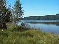 Kirchsee (Oberbayern) Südufer