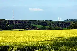 Landschaft in den Baumbergen: Blick ostnordostwärts zumWesterberg mit dem Sender Nottuln (links) und, zwischen zwei Windrädern hindurch, dem Longinusturm (rechts)
