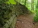 Torzwinger mit hohen Mauerresten