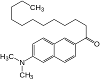 Strukturformel von Laurdan