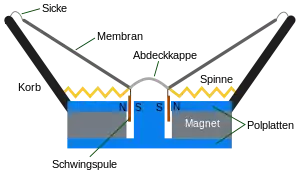 Konus-Lautsprecher schematisch, seitlicher Schnitt („Abdeckkappe“ = Staubschutzkalotte)