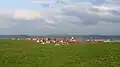 Lengenwang von Süden