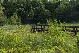 Leonfeldner Moor
