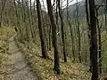 Oberer Lieserpfad