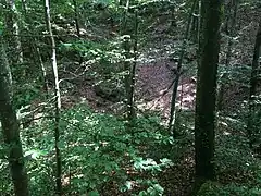 Linker Halsgraben (Juli&nbsp;2015)