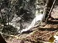 Wasserfall des Linsenbachs direkt am Burgberg