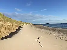 Foto eines Sandstrands