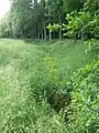 Renaturierter Hopener Mühlenbach im Runenbrock. Hinter der Baumreihe rechts verläuft der Brückenradweg.