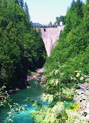 Ein Bogendamm sperrt einen engen, bewaldeten Canyon oberhalb eines Wildwasserflusses