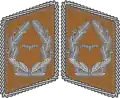 Kragenspiegel Luftwaffe
