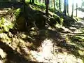 Burgruine Möstling