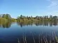 Mühbrook und die Mühbrooker Bucht vom Einfelder See aus gesehen